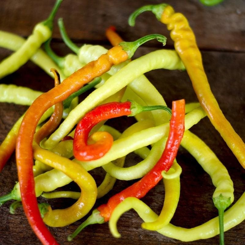 Corbaci Pepper (Heirloom 75 Days)