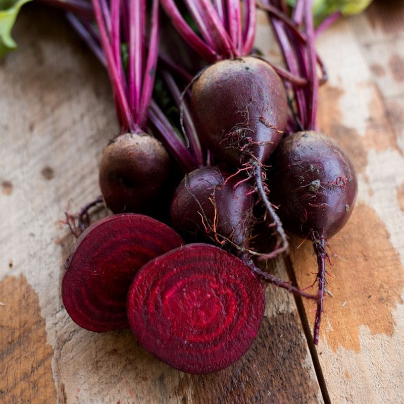 Detroit Beet (Heirloom, 63 Days)