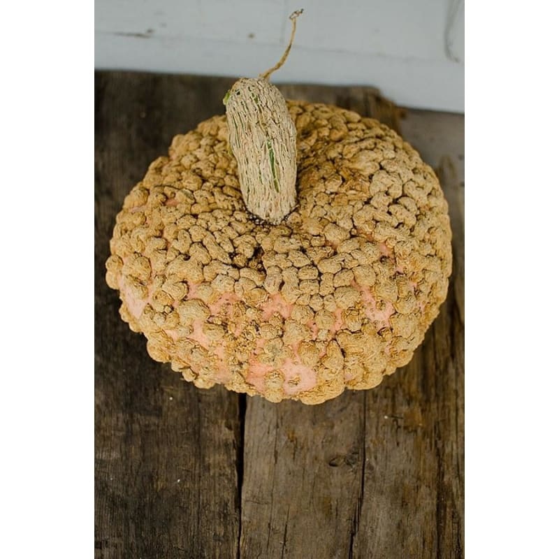 Galeux D’ Eysines Winter Squash (Heirloom, 100 Days)