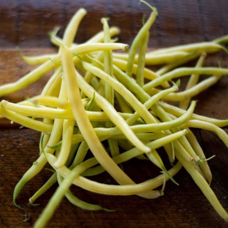 Golden Butter Wax Bean (50 Days)