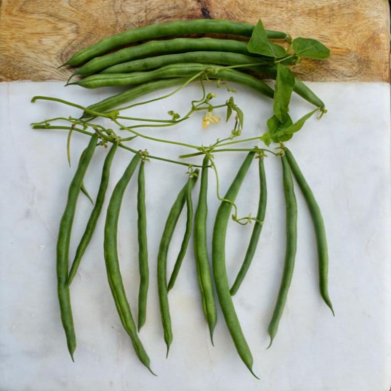 Kentucky Blue Pole Bean (62 Days)