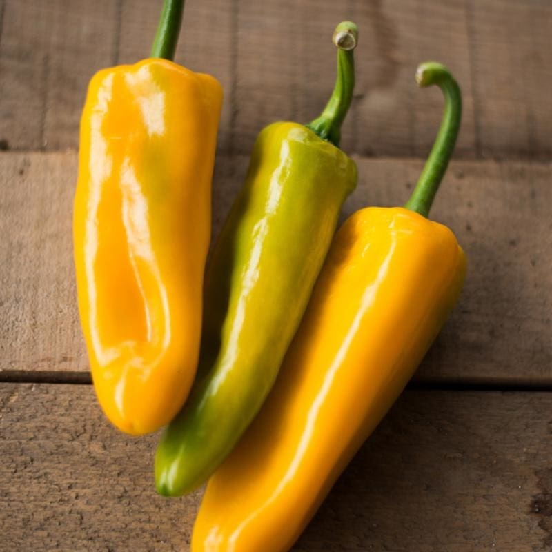 Marconi Golden Pepper (80-90 Days)