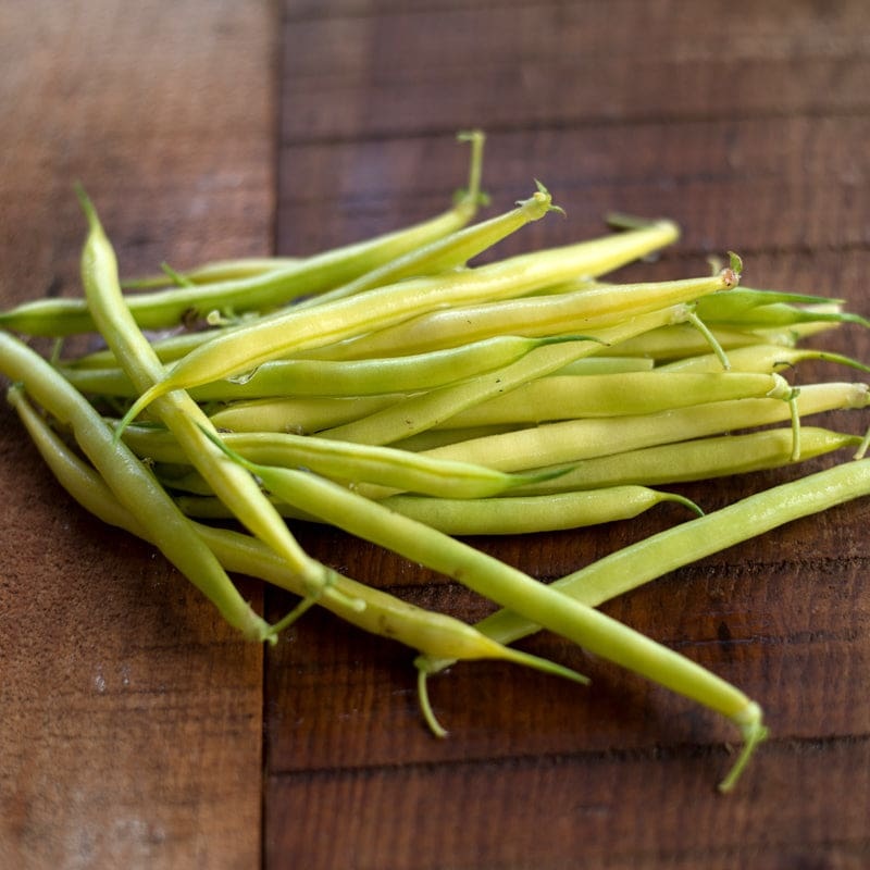Pencil Pod Bush Bean (Heirloom 52 Days)