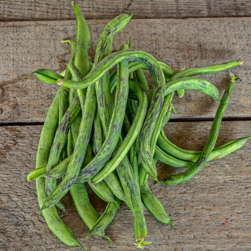 Rattlesnake Pole Bean (Heirloom 65 Days)