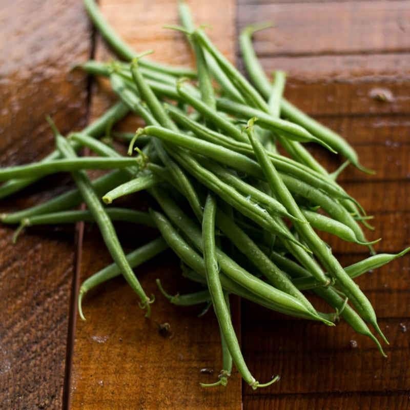 Strike Bush Bean (45 Days)