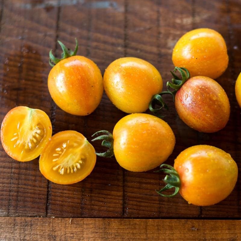 Sunrise Bumble Bee Tomato (Organic 70 Days)