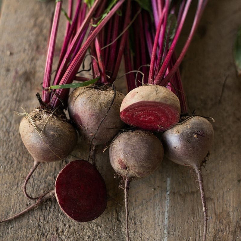 Crosby Egyptian Beet (Heirloom 45 Days)