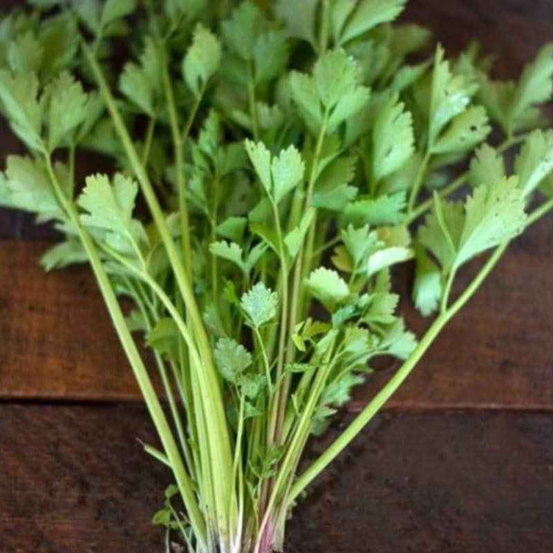 Cutting Celery (80 Days)