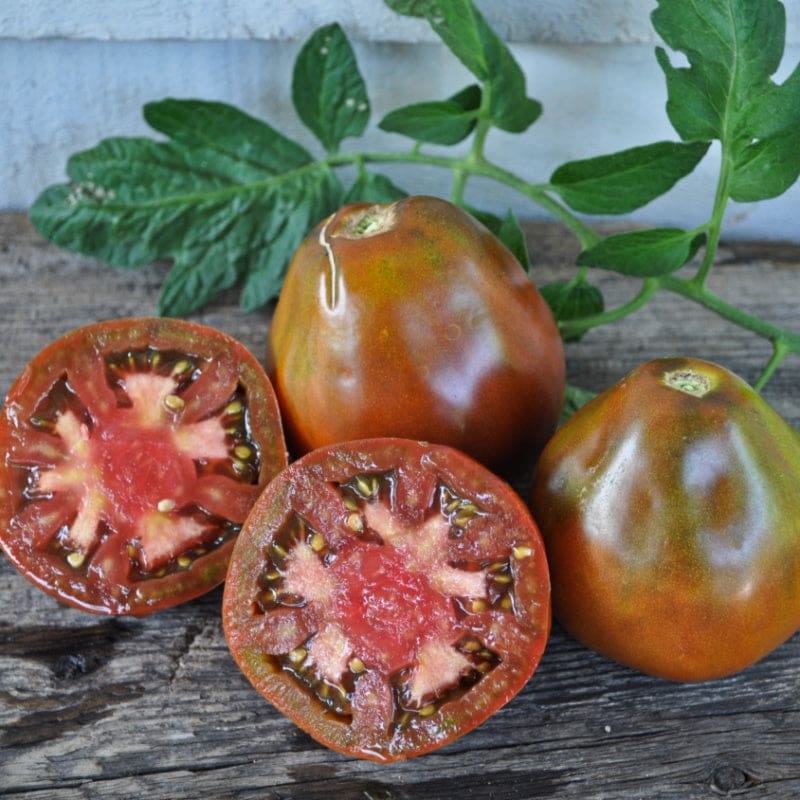 Japanese Black Trifele (Organic, Heirloom, 70-80 Days)