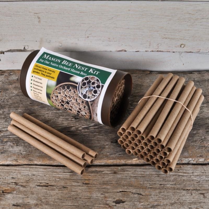 Mason Bee Nest Replacement Tubes (50 pack)