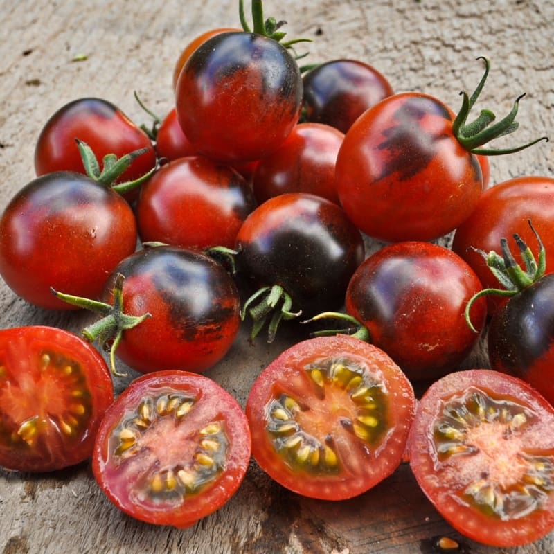Midnight Snack Tomato (65-70 Days)