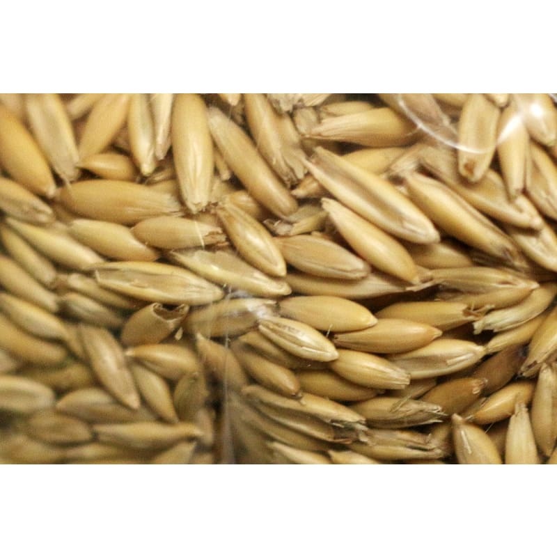 OATS|1  lb|5 lb