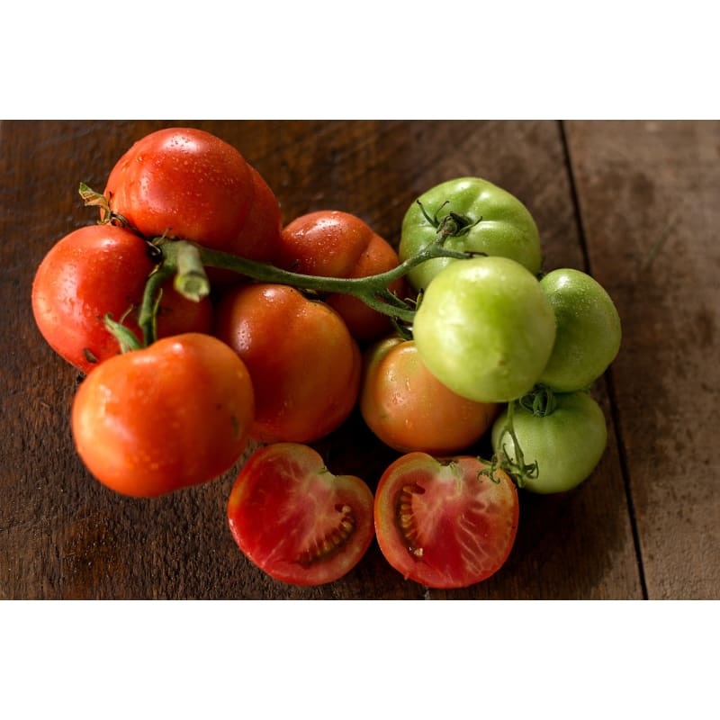 Oregon Spring Tomato (68 Days)