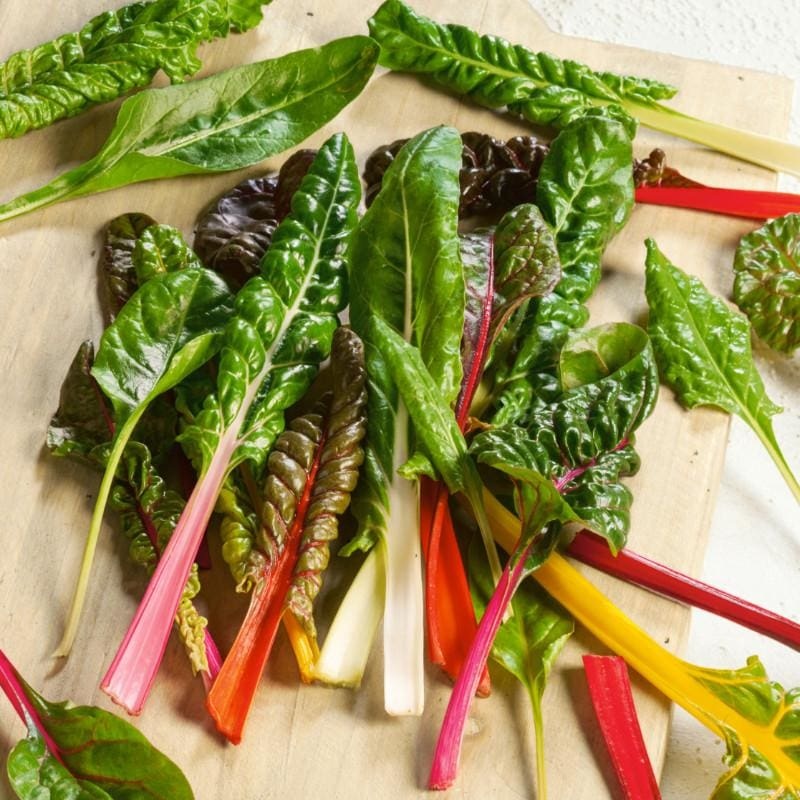 Rainbow Blend Chard (Organic 55 Days)