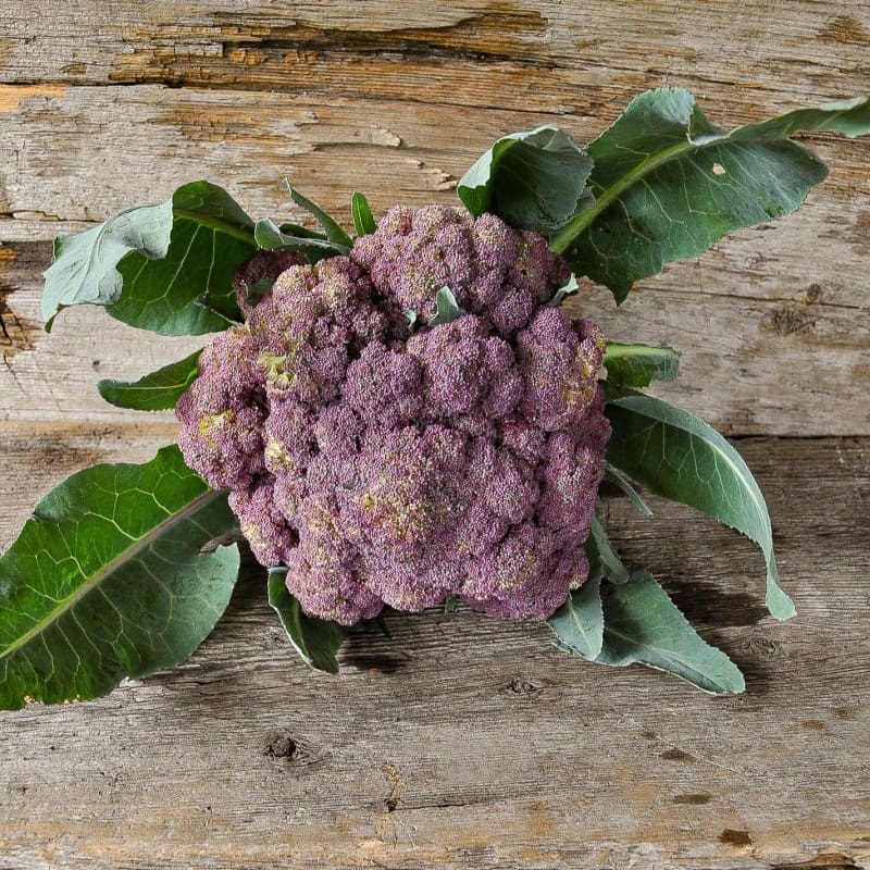 Violetta Italia Cauliflower  (Heirloom, 62 Days)