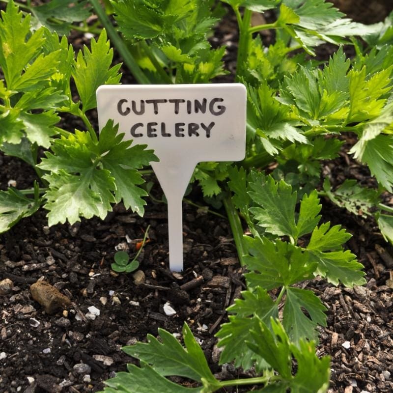 White T-Style Plant Labels (10 pack)