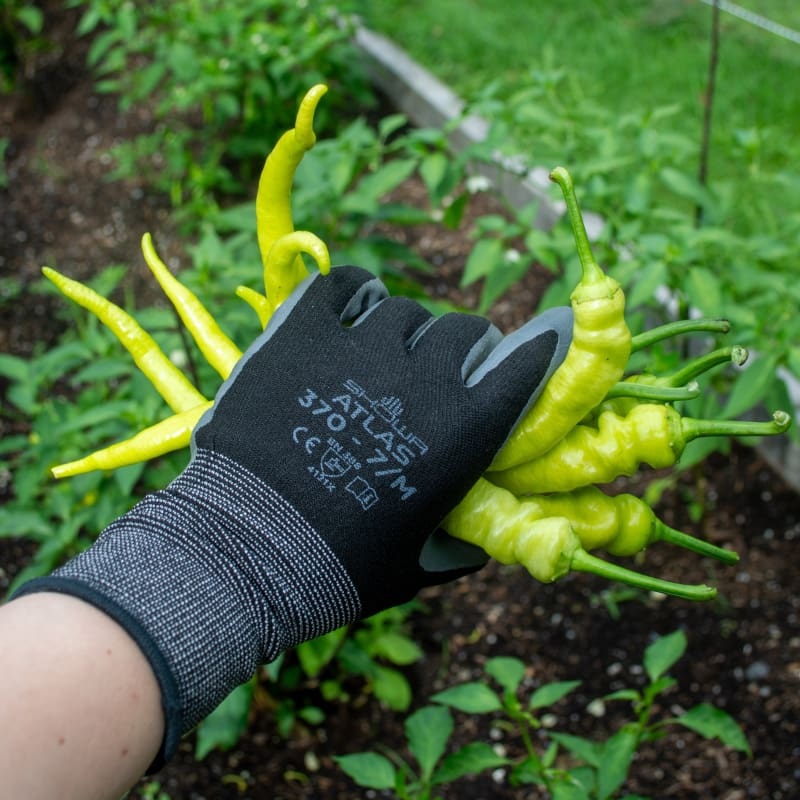 Atlas Nitrile Grip Gloves|SM|MD|LG|XL|Black