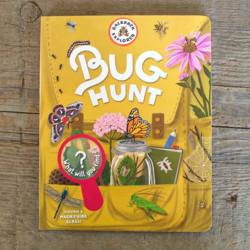 Backpack Explorer: Bug Hunt