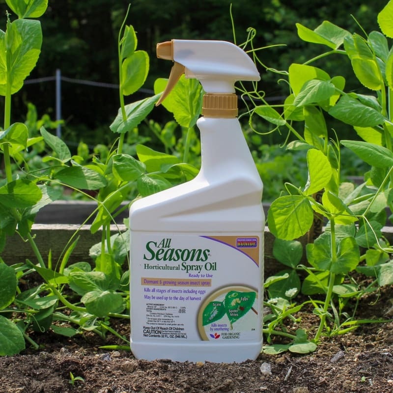 Bonide All Seasons Horticultural Oil Ready-to-Use (32 OZ)
