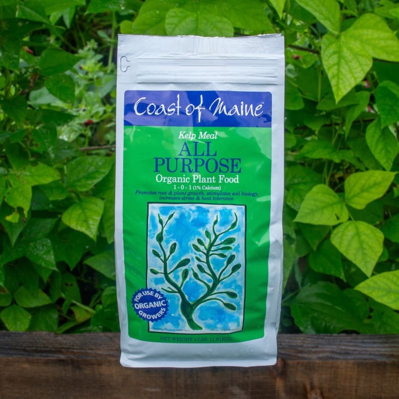 Coast of Maine All Purpose Kelp Meal 1-0-1 (4 LB)