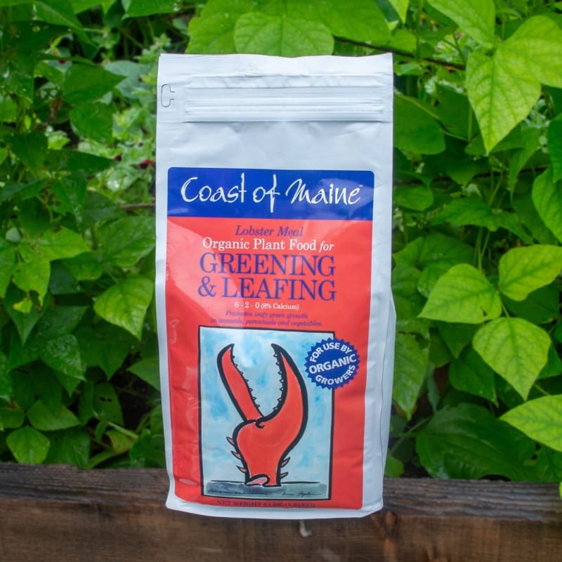 Coast of Maine Greening & Leafing Lobster Meal 6-2-0 (4 LB)