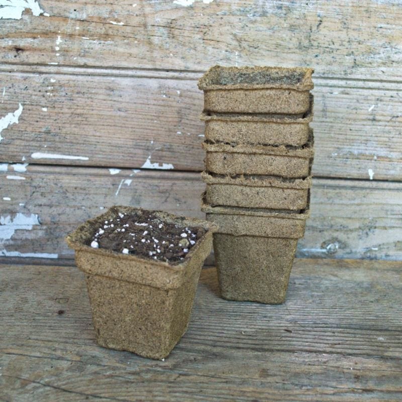 Cow Pots 3 Square (25 count)