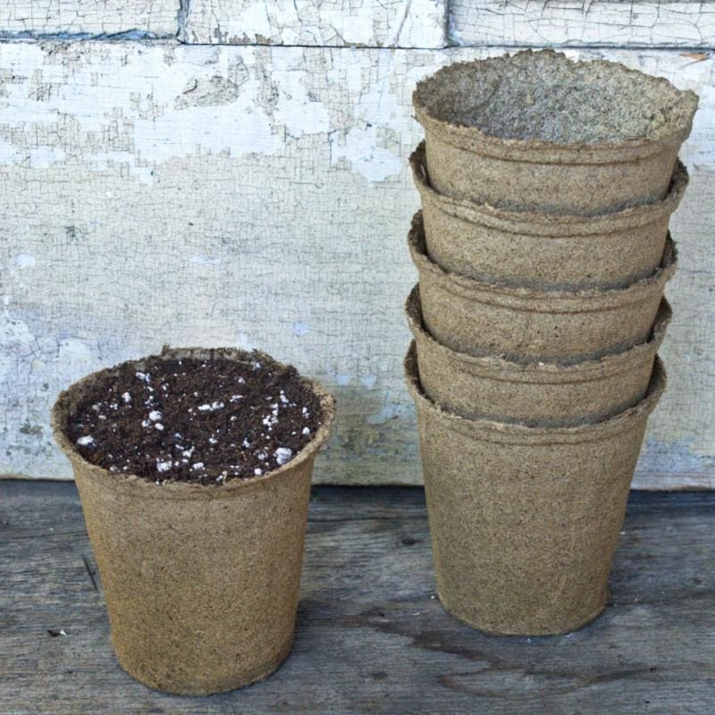 Cow Pots 4 Round TALL (25 count)