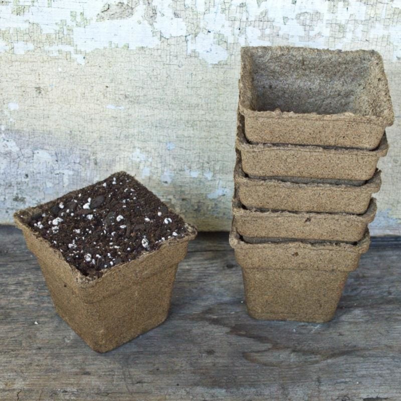 Cow Pots 4 Square (25 count)