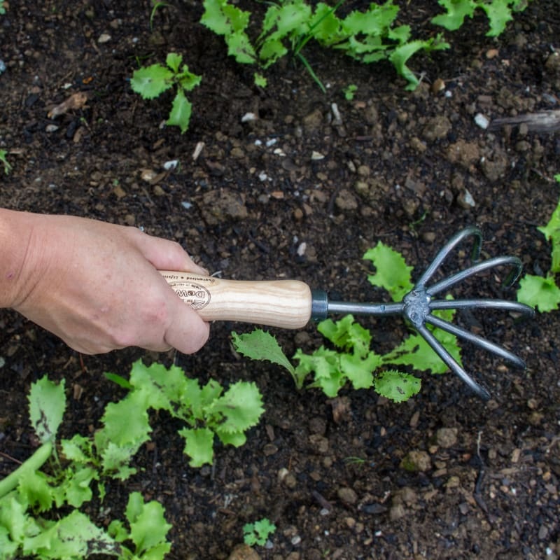 DeWit Cultivator-5 Tine