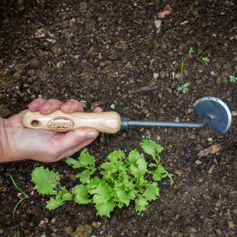 DeWit Disc Weeder