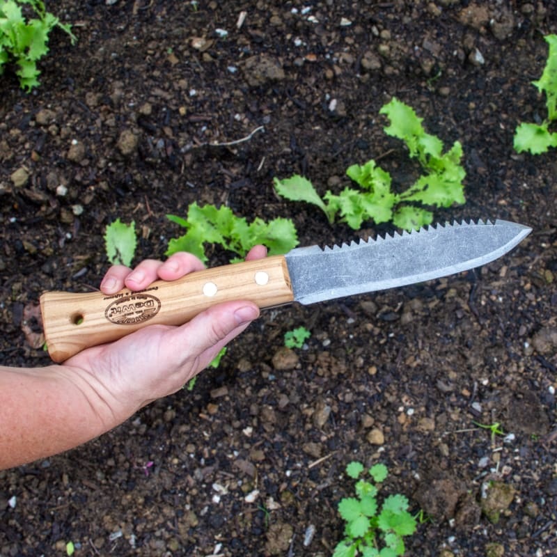 DeWit Serrated Farmer’s Dagger