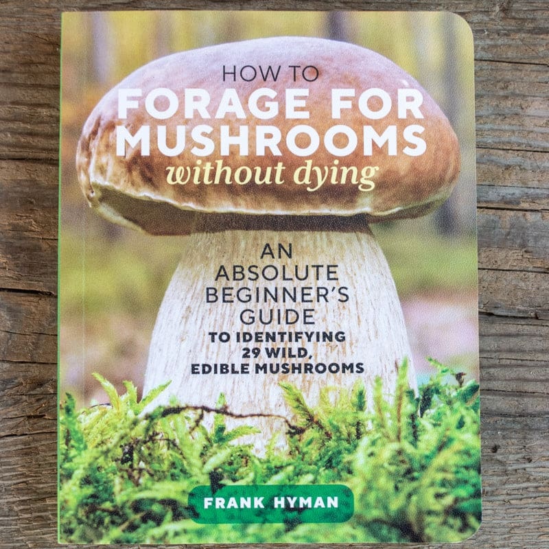 How to Forage for Mushrooms without Dying