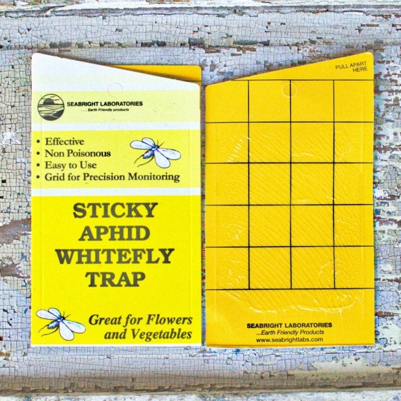 Sticky Aphid & Whitefly Traps (5 Pack)
