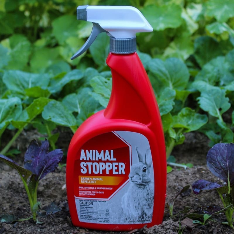 Animal Stopper 32 oz.|Default