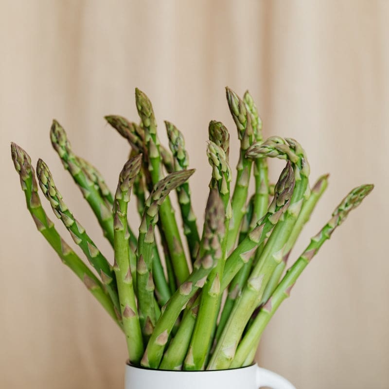 Asparagus ‘Millenium’