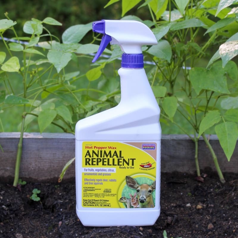 Bonide Hot Pepper Animal Repellent Ready-To-Use (32 oz.)