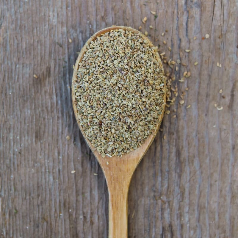 Celery Seed Whole (Organic) 1 oz.
