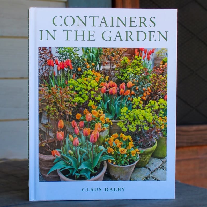 Containers in the Garden