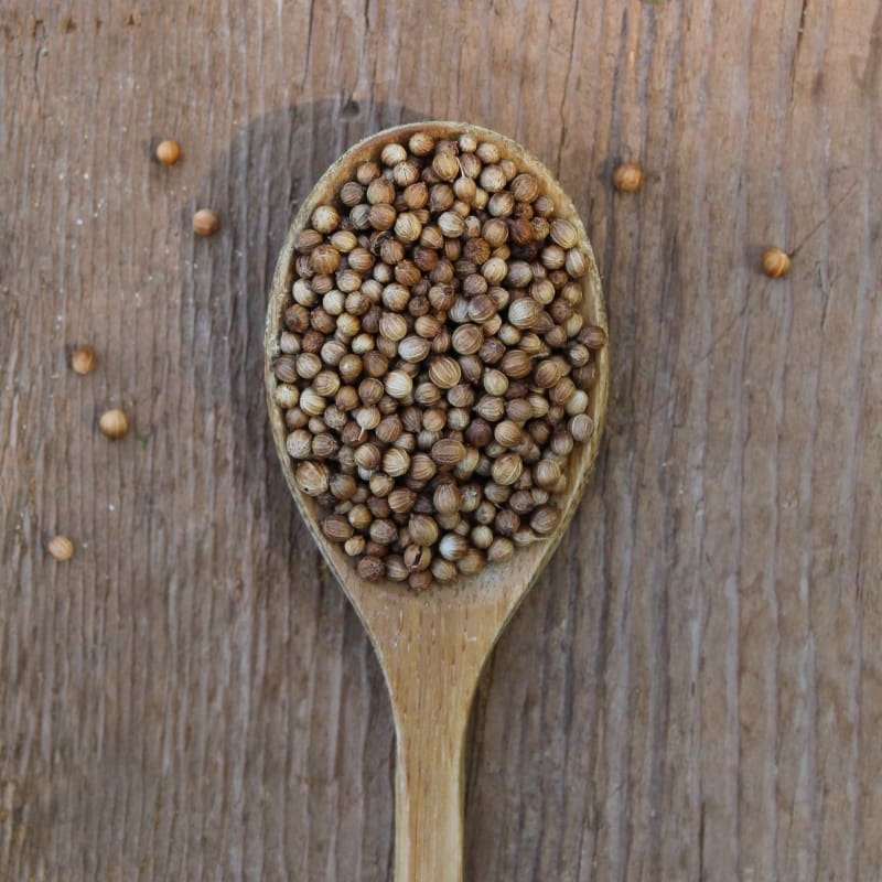 Coriander Seed Whole (Organic) 1 oz.