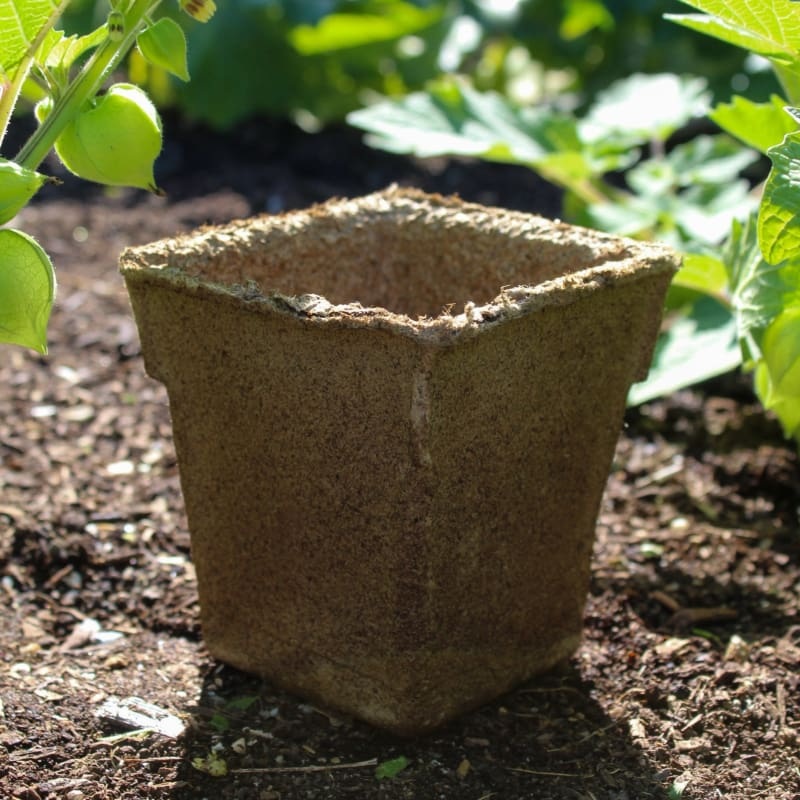 Cow Pots 4 Square TALL (25 count)