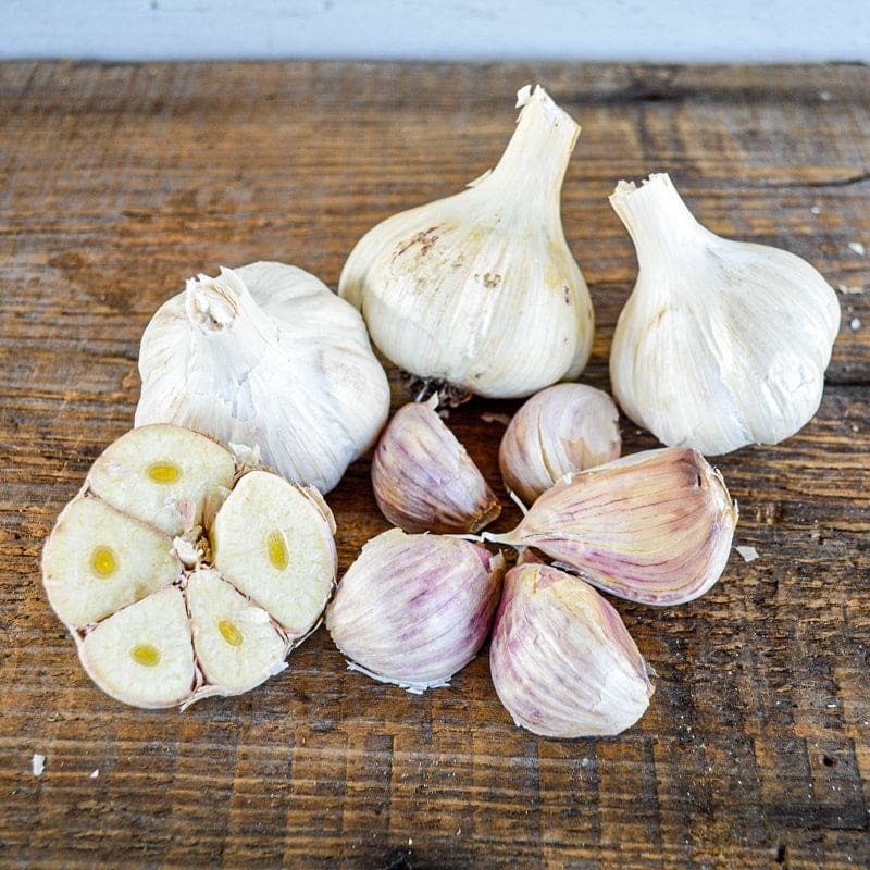 Hardneck Garlic-Armenian (Fall Planting)
