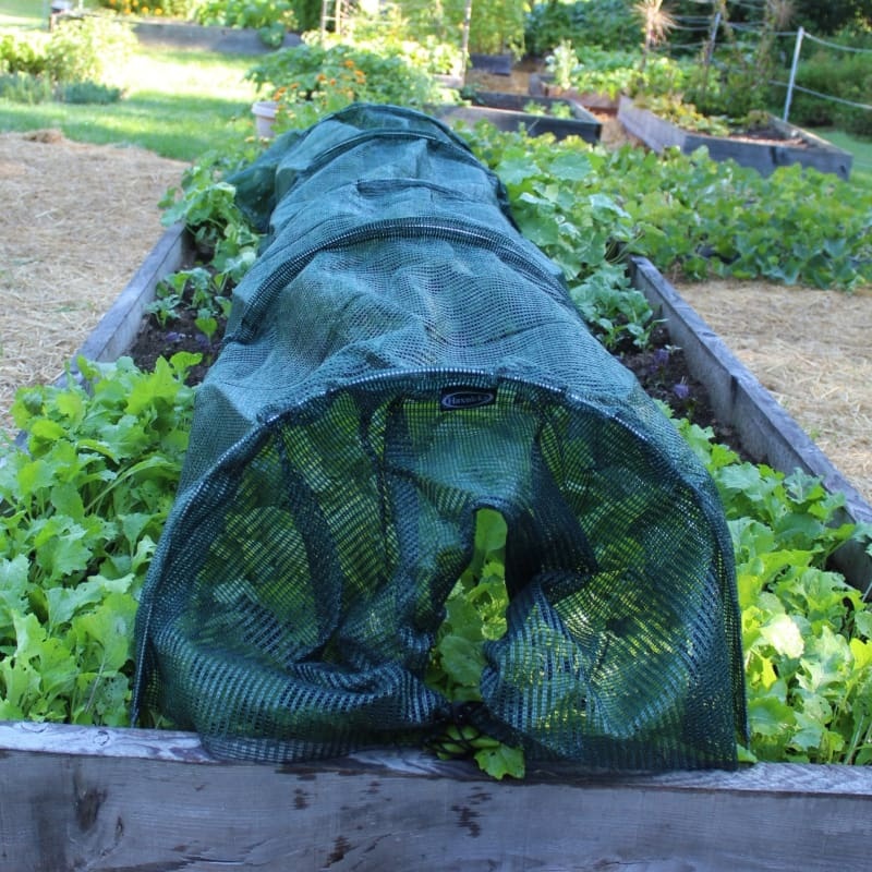 Haxnicks Easy Net Tunnel (Giant)