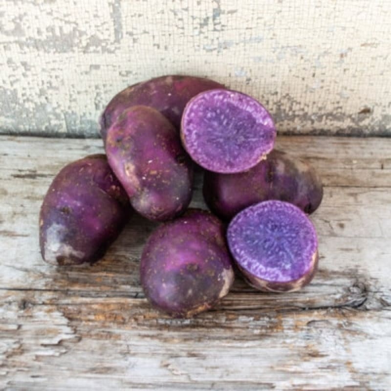 Potato ‘Adirondack Blue’