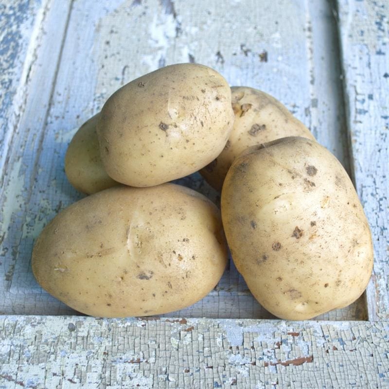 Potato ‘Eva’