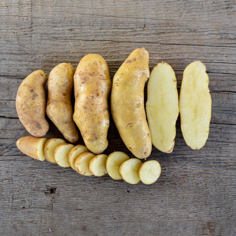Potato Fingerling ‘Russian Banana’