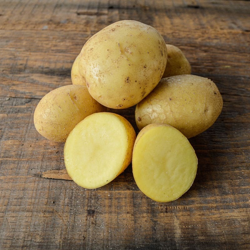 Potato ‘German Butterball’