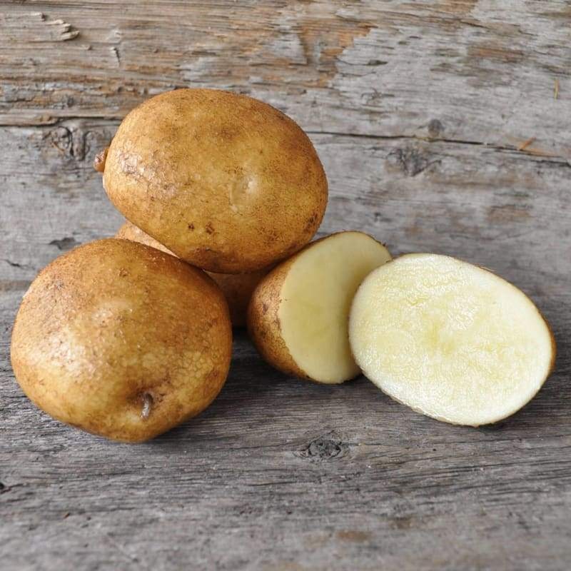 Potato ‘Kueka Gold’