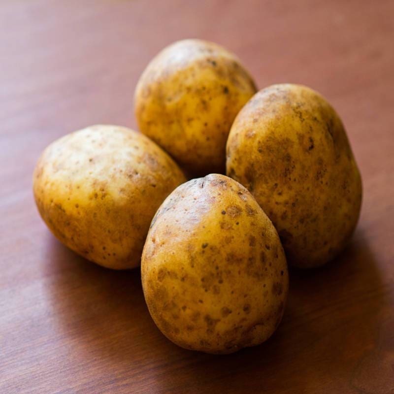 Potato ‘Yukon Gold’