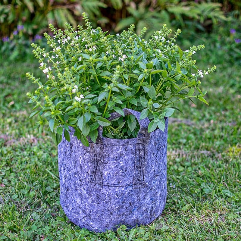 Root Pouch 10 Gallon with Handles