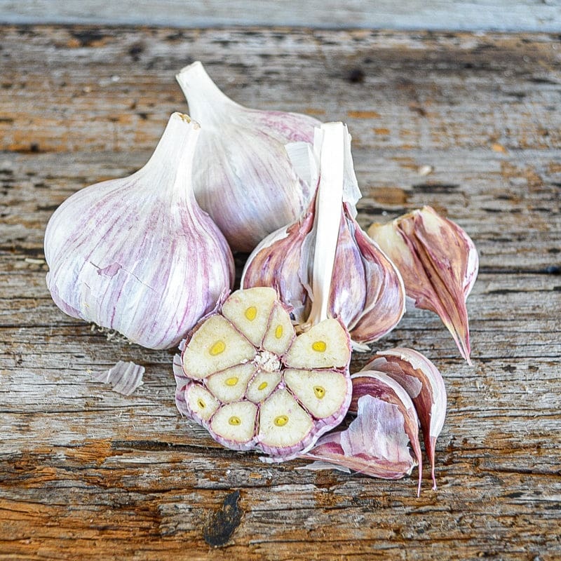 Hardneck Garlic- Chesnok Red (Fall Planting)